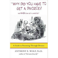 Book cover of "Why Why Did You Have to Get a Divorce and When Can I Get a Hamster?"